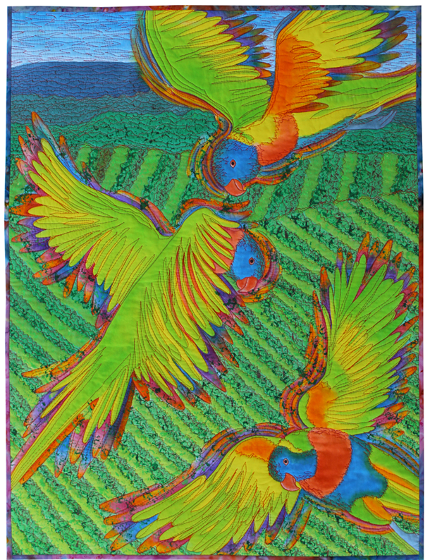 Lorikeets Blooming